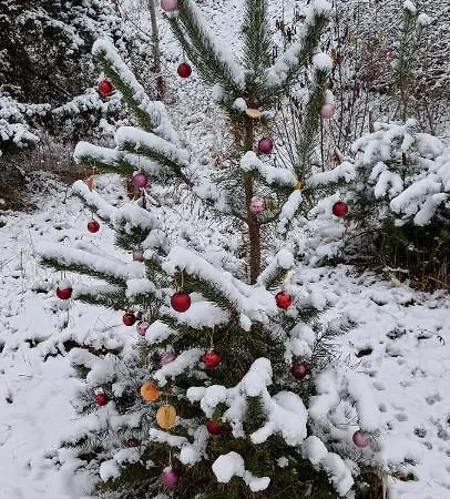 Διαμέρισμα Maeurer Leipziger Neuseenland