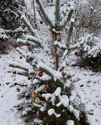 Apartament Maeurer Leipziger Neuseenland